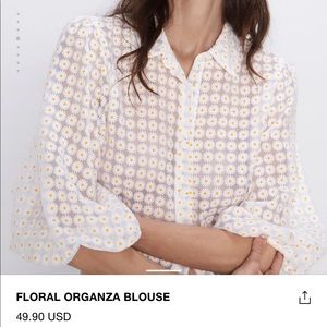 Zara Floral Daisy Organza Big Sleeve Blouse